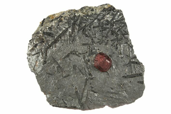 Red Embers Garnet in Graphite - Massachusetts #313676